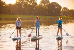 INS_BLAUE_BOARD-043_4486 INS_BLAUE_BOARD-043_4486
