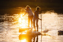 INS_BLAUE_BOARD-048_4494 INS_BLAUE_BOARD-048_4494