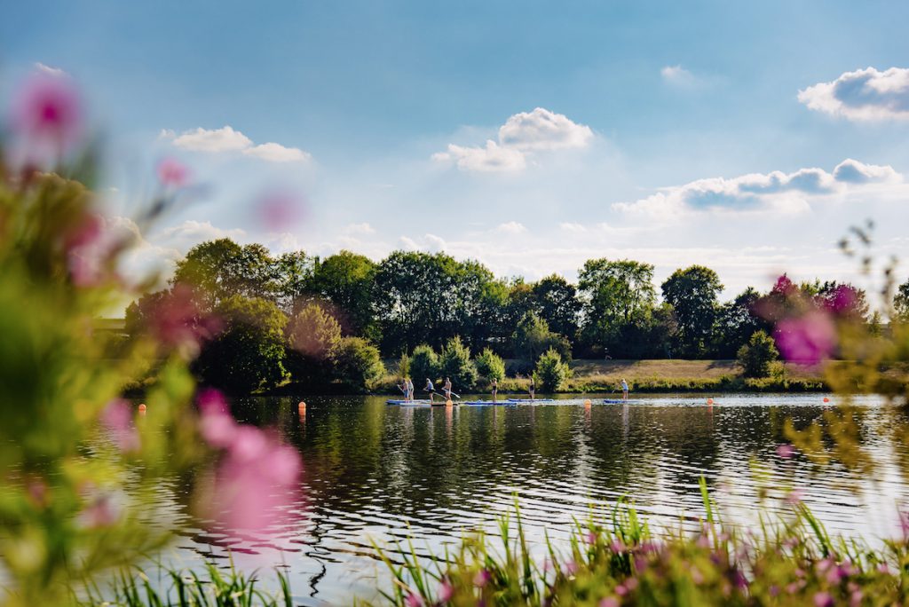 Ins Blaue SUP Paddelrevier Werdersee Blumen Ins Blaue SUP Paddelrevier Werdersee Blumen