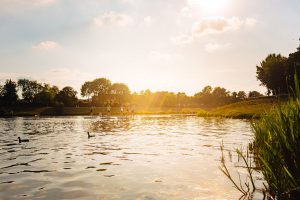Ins Blaue SUP Werdersee Sunset Paddle 01 Ins Blaue SUP Werdersee Sunset Paddle 01